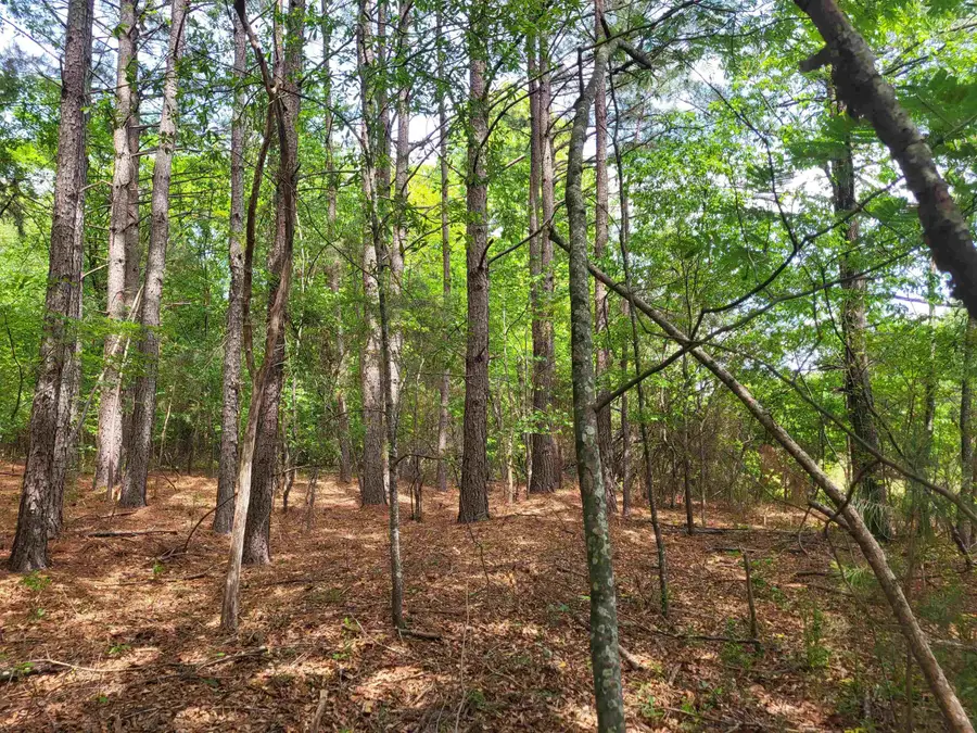0 Love Springs Road, Hilltop, SC 29303 - #3