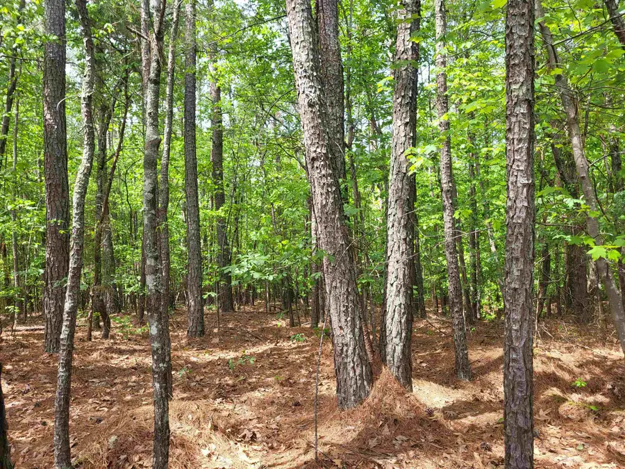 0 Courtney Road, Cowpens, SC 29330 - #2