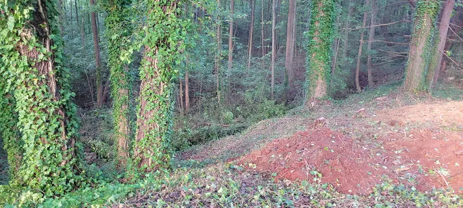 Woodshire Drive, Boiling Springs, SC 29316 - #3