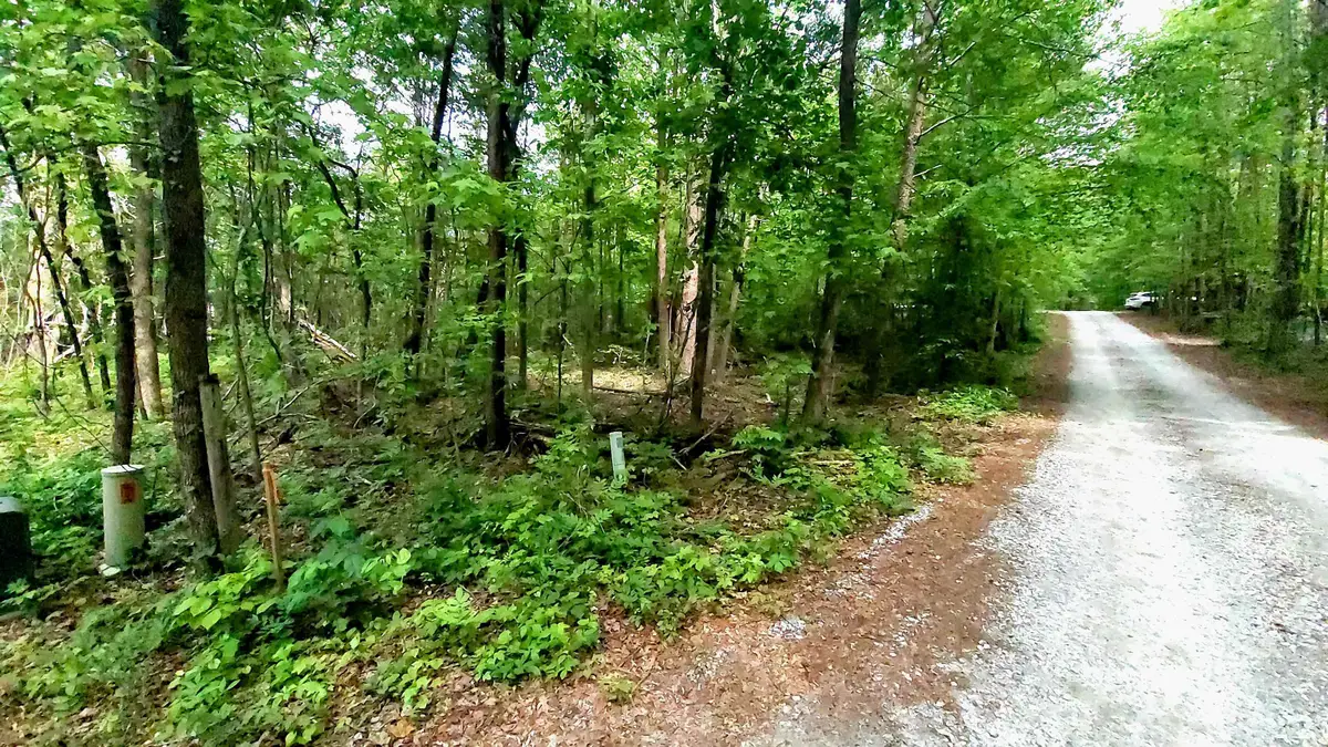 20 Integral Lane, Travelers Rest, SC 29690 - #1