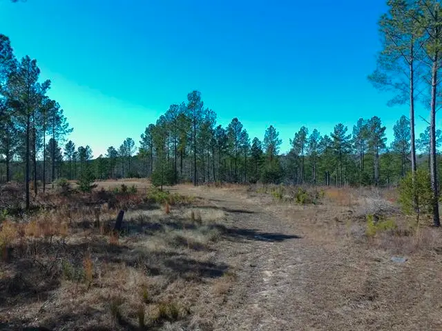 0 Fields Road, Pauline, SC 29374 - #2