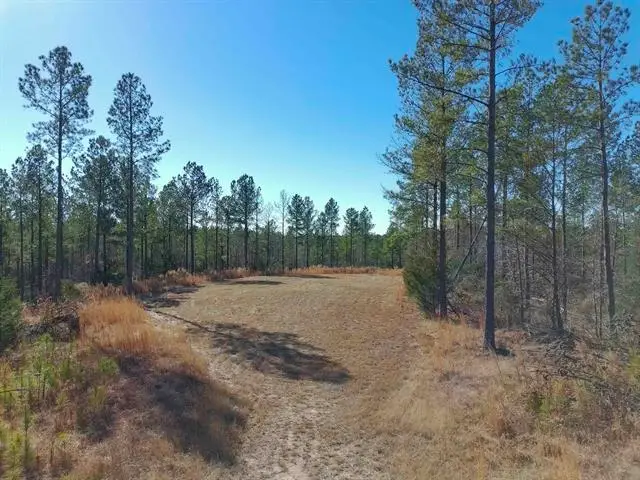 0 Fields Road, Pauline, SC 29374 - #3