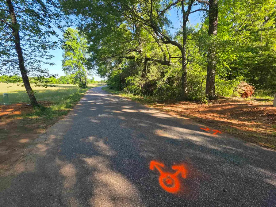 326 Aldrich Road, Chesnee, SC 29323 - #3