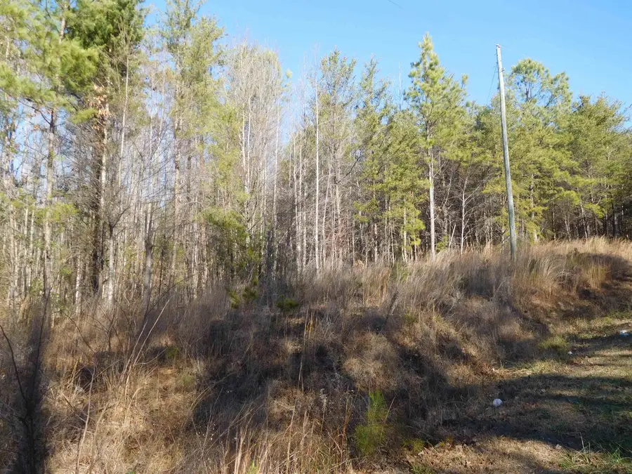 TBD Leadmine Rd Road, Gaffney, SC 29340 - #3