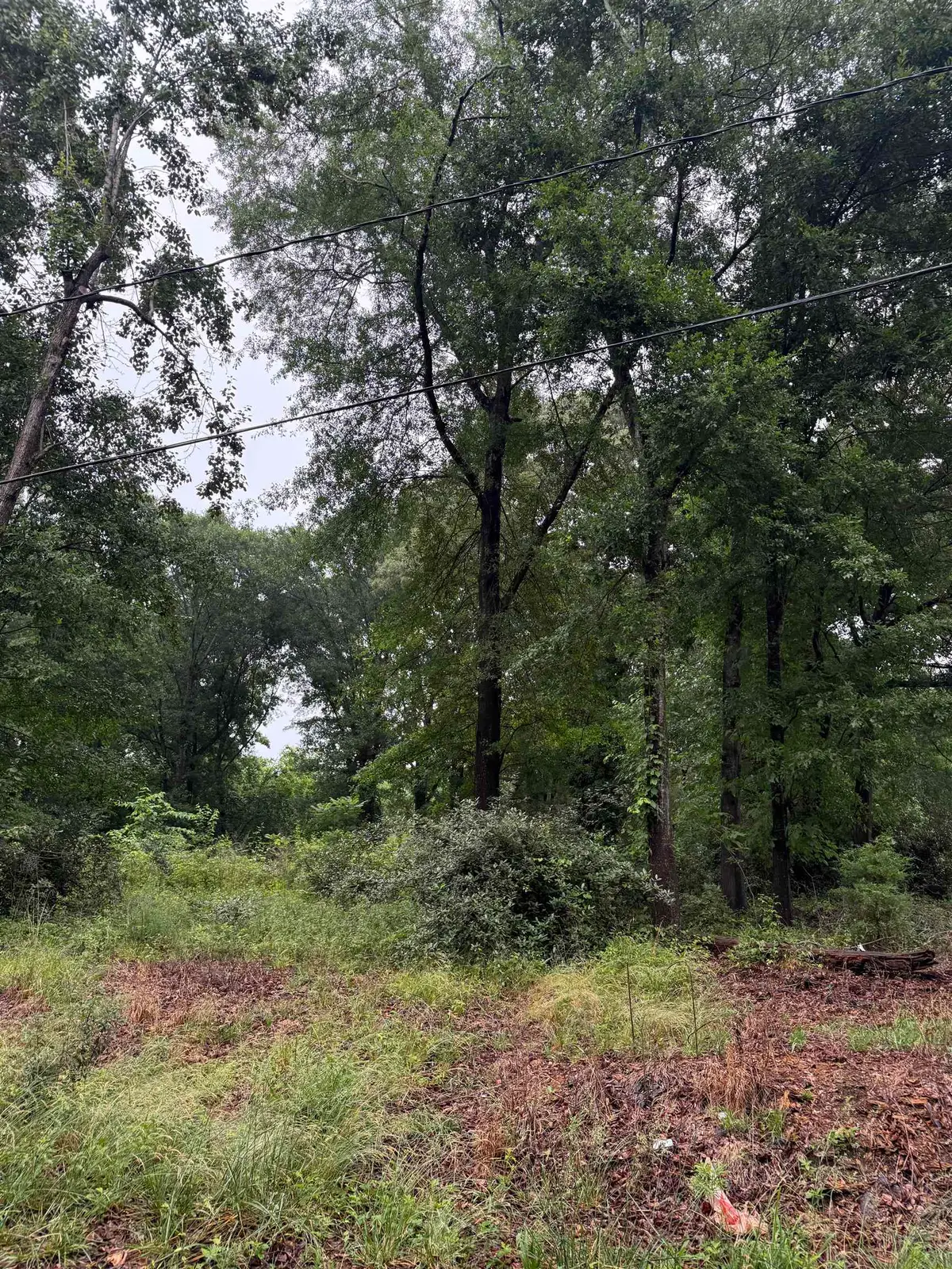 Merle Drive, Spartanburg, SC 29307 - #1