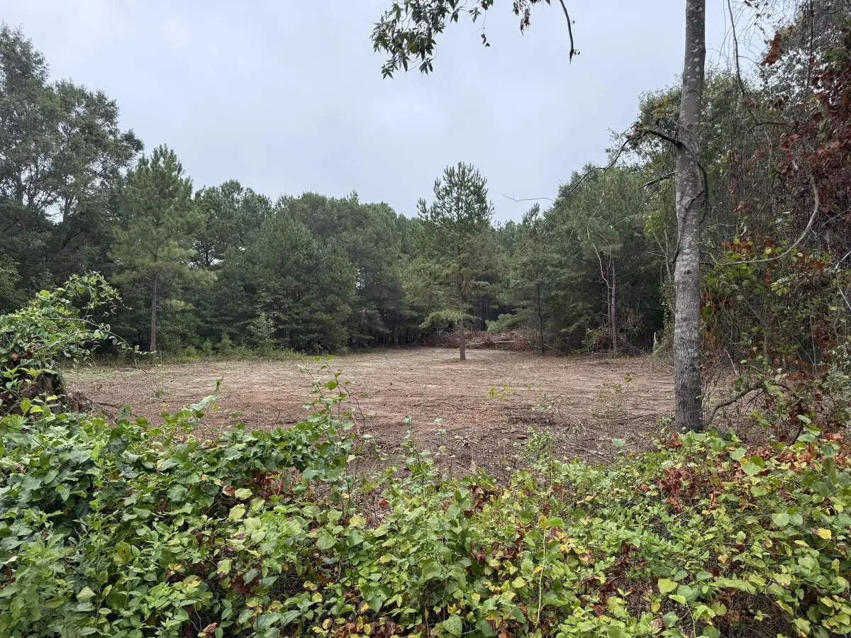229 Holly Drive, Chesnee, SC 29323 - #1
