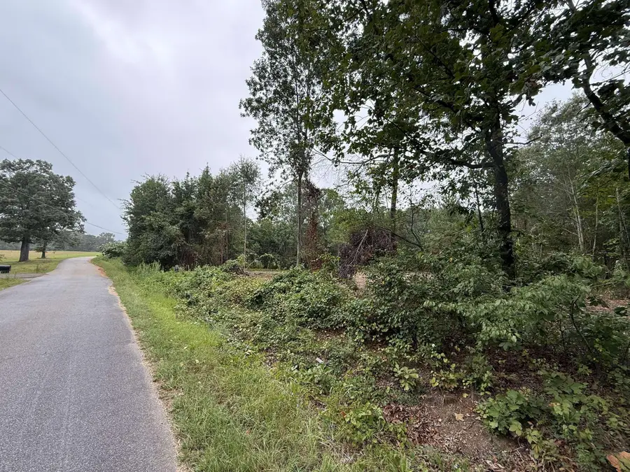 229 Holly Drive, Chesnee, SC 29323 - #2