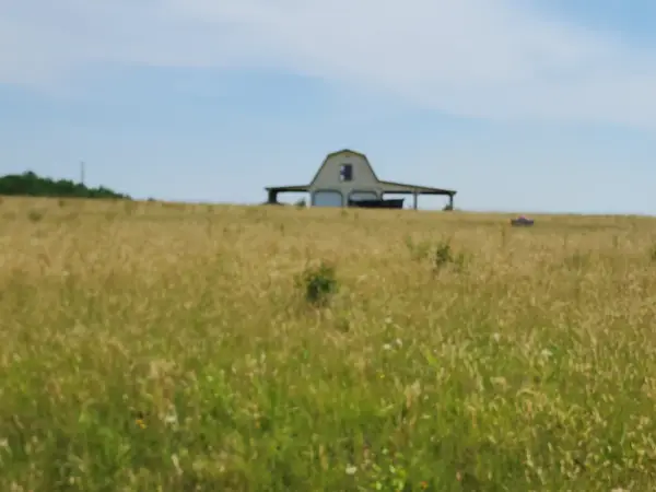 Lot 1 Lambs Grill Road, Rutherfordton, NC 28139