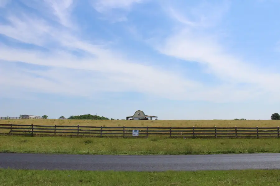 Lot 1 Lambs Grill Road, Rutherfordton, NC 28139 - #3