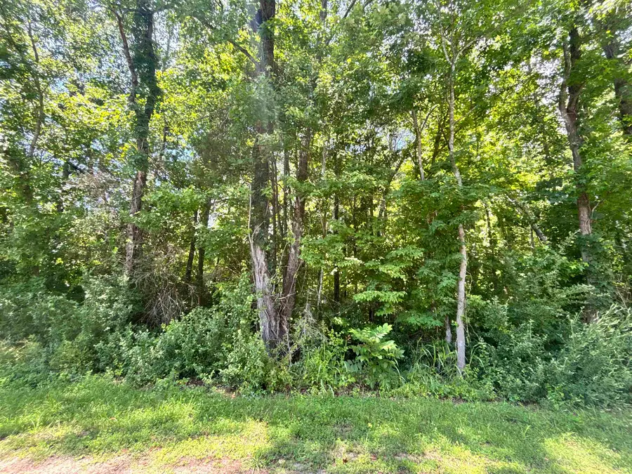 00 Borders Road, Blacksburg, SC 29702 - #3