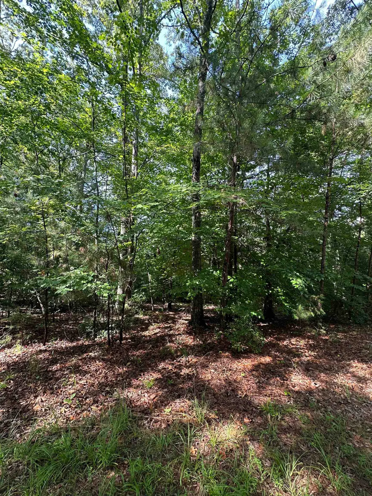 Old Buncombe Road, Union, SC 29379 - #1