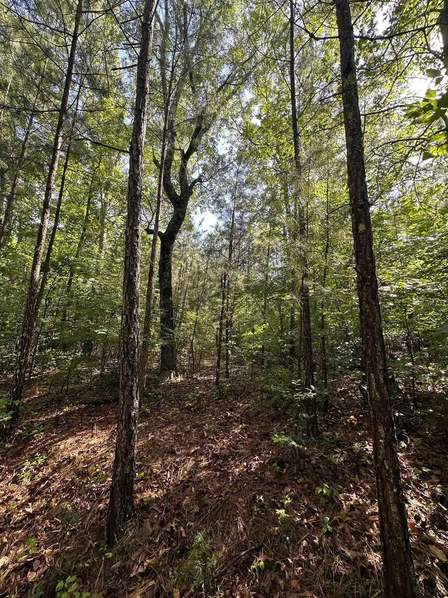 Old Buncombe Road, Union, SC 29379 - #2