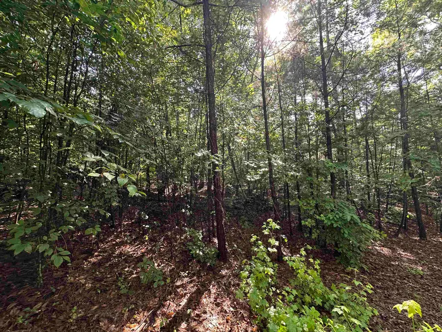Old Buncombe Road, Union, SC 29379 - #3