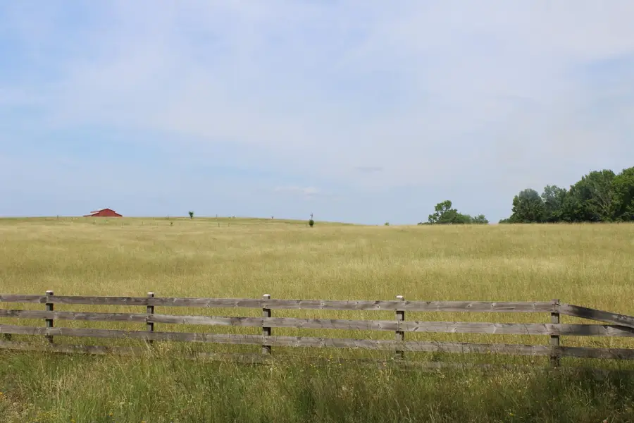 Lot 8 Ted Smith Road, Rutherfordton, NC 28139 - #3