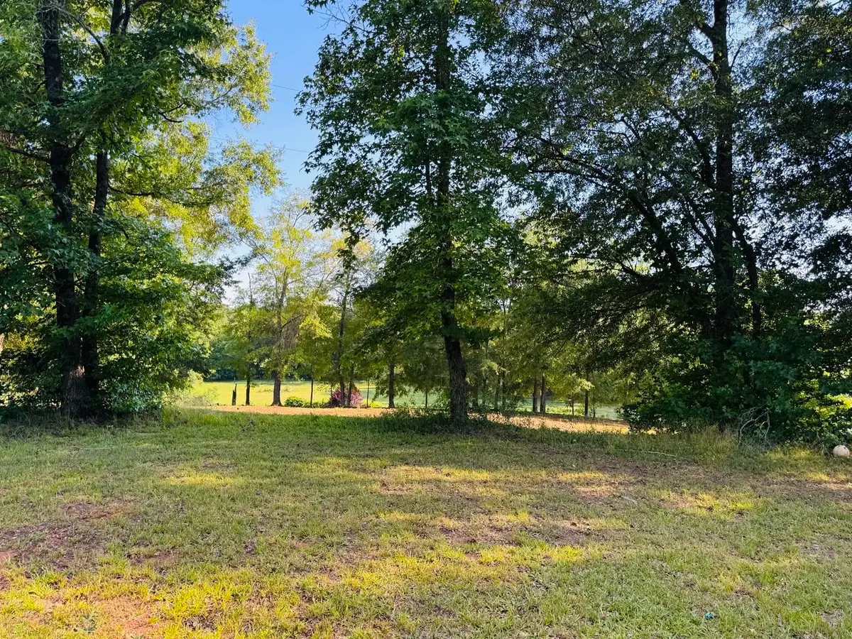 1770 Fish Camp Road, Chesnee, SC 29323 - #1