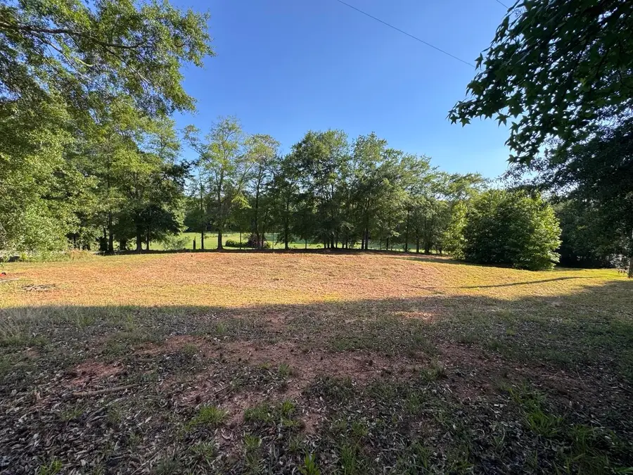 1770 Fish Camp Road, Chesnee, SC 29323 - #2