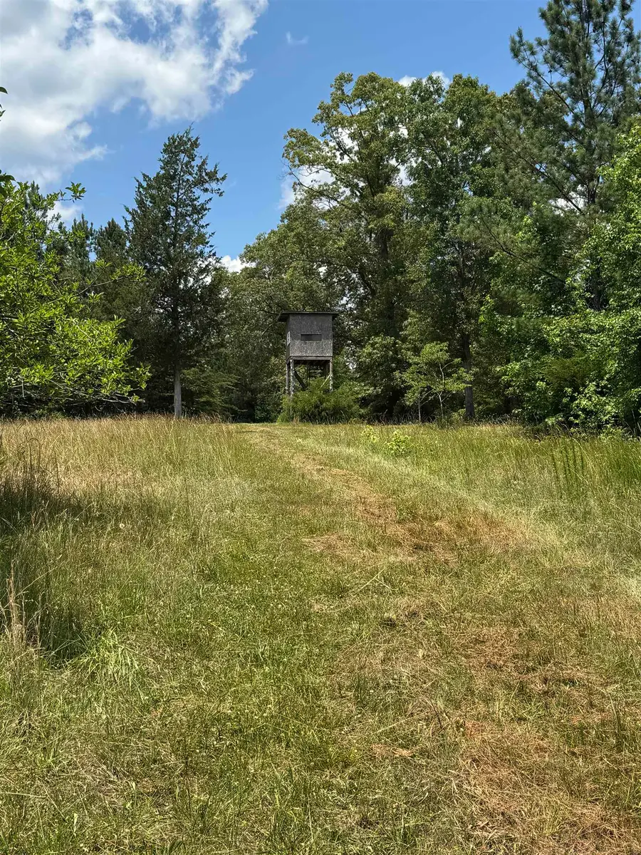 246 Lee Road, Jonesville, SC 29353 - #2