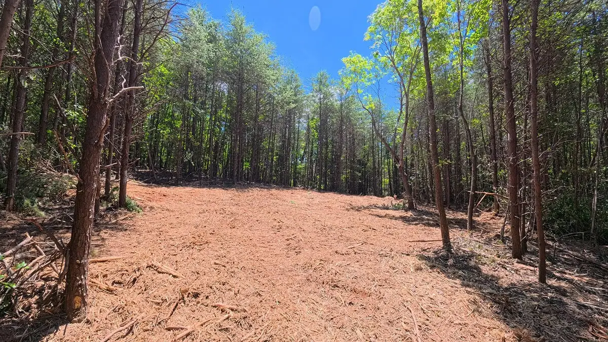 Tract A 2109 Riddle Road, Pauline, SC 29374 - #1