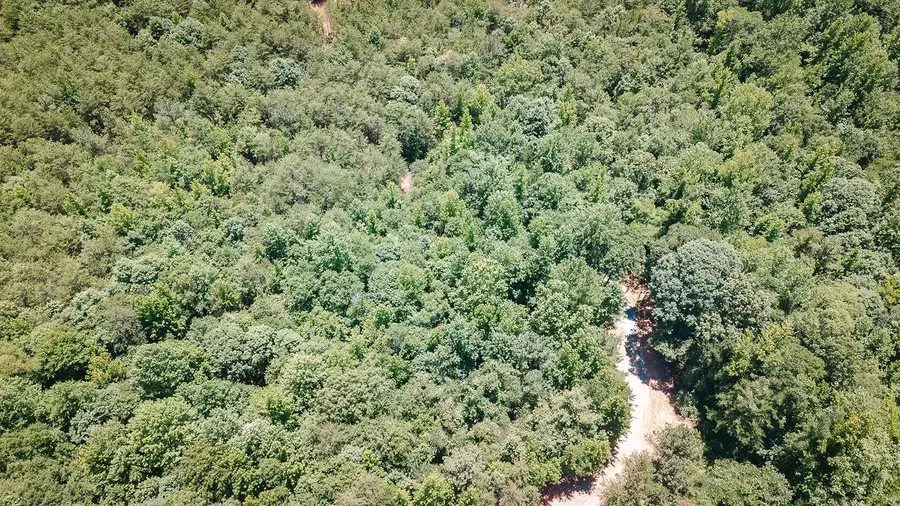Tract B 2109 Riddle Road, Pauline, SC 29374 - #3