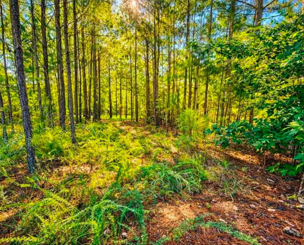 406 Terrapin Pointe Road, Ware Shoals Hodges, SC 29563 - #1
