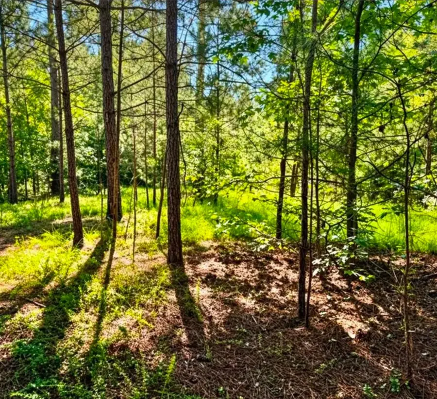 406 Terrapin Pointe Road, Ware Shoals Hodges, SC 29563 - #3
