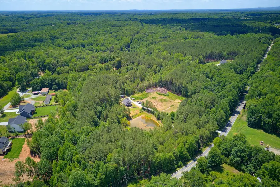 1217 Pleasant Hill Road, Landrum, SC 29356-9599 - #3