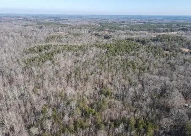 Goucher Green Bethel 30 Acres Road, Gaffney, SC 29340 - #3