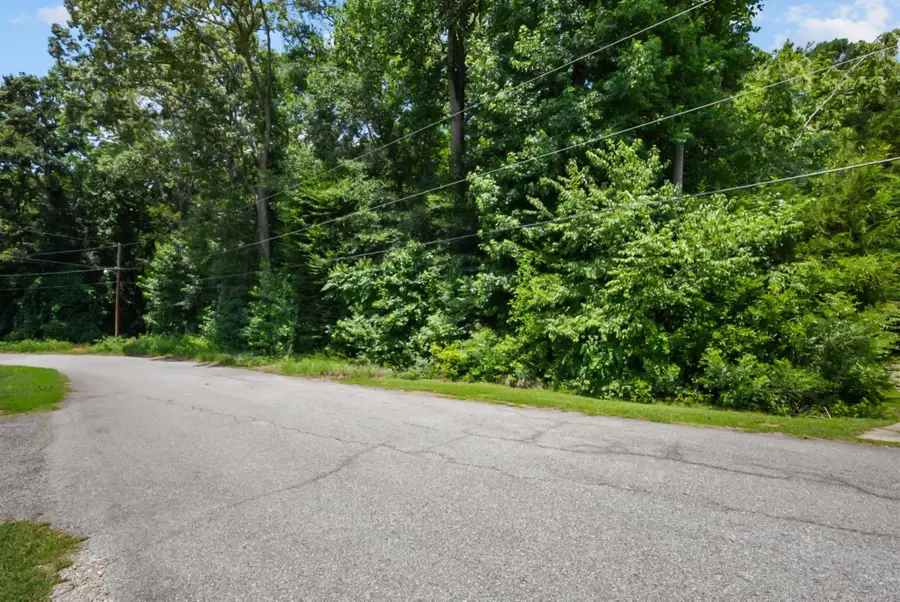 Westminster Avenue, Laurens, SC 29360 - #2