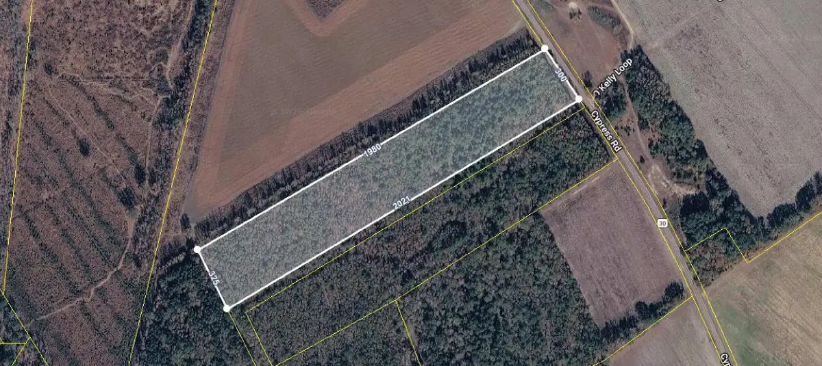Cypress Road, Bishopville, SC 29010 - #1