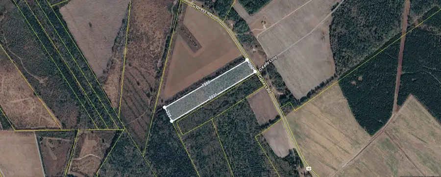 Cypress Road, Bishopville, SC 29010 - #2