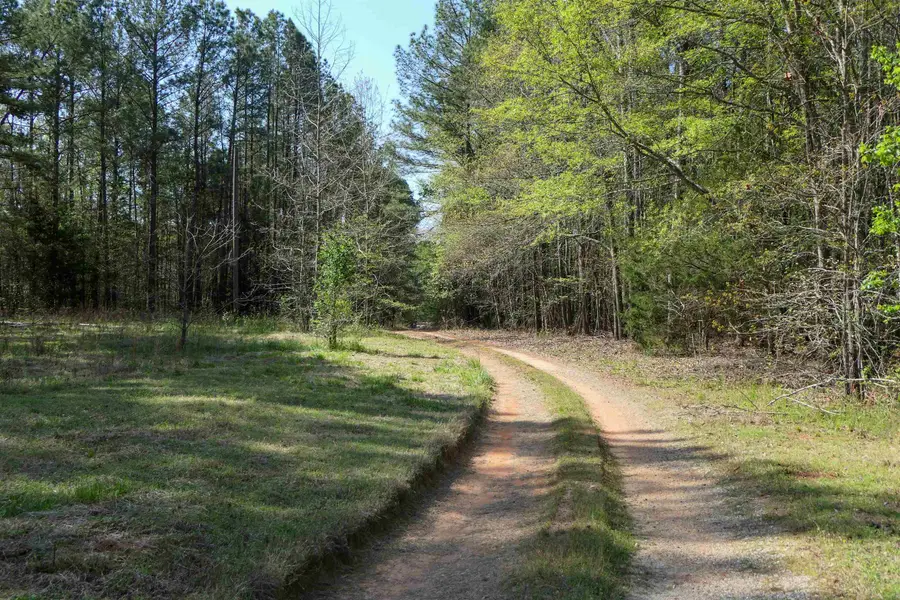730 Browning Road, Enoree, SC 29335 - #2