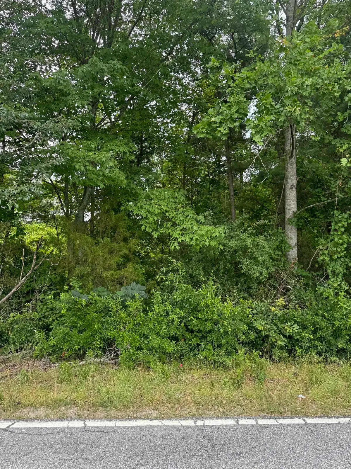 00 Old Anderson Mill Road, Moore, SC 29369 - #1