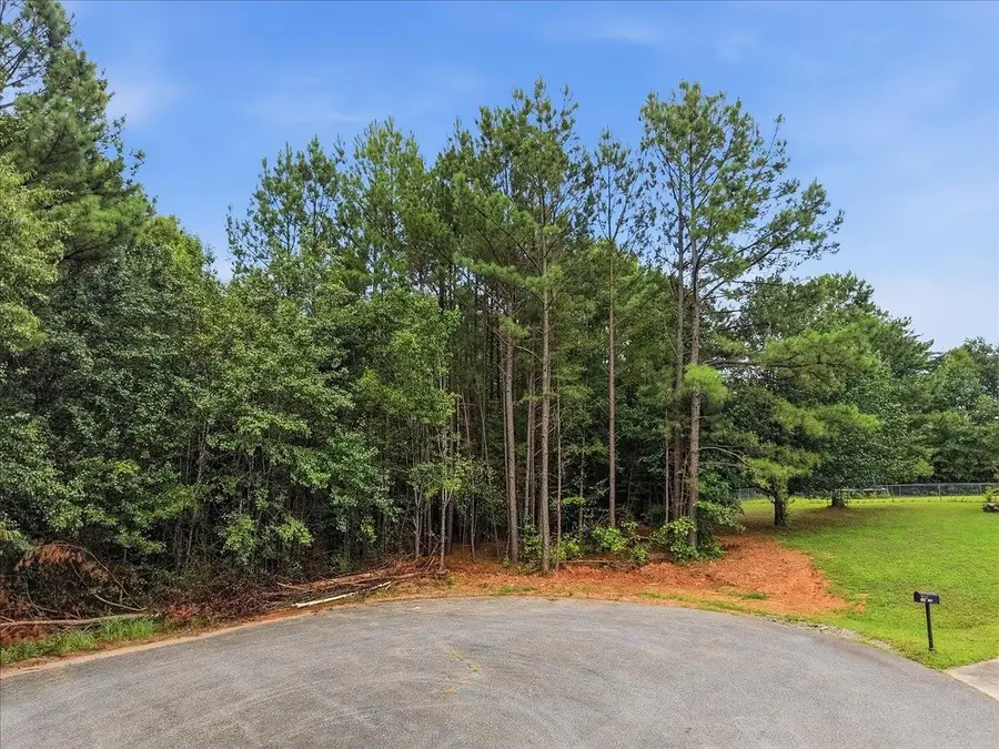 0 E Fowler Farm Road, Gaffney, SC 29341 - #3
