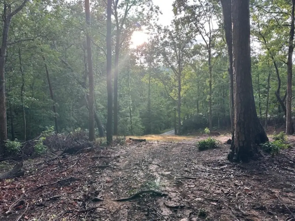 00 E Lakeshore Drive, Landrum, SC 29356 - #1