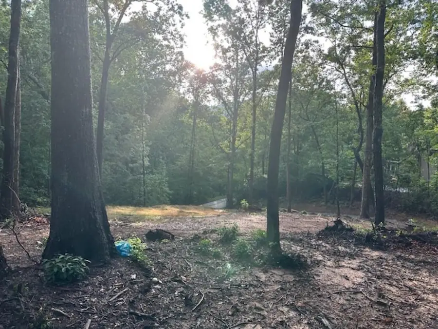 00 E Lakeshore Drive, Landrum, SC 29356 - #3