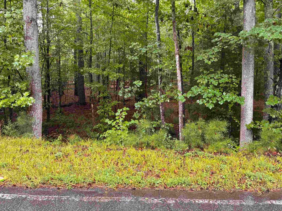 Lot 9 Corinth Road, Gaffney, SC 29340 - #2