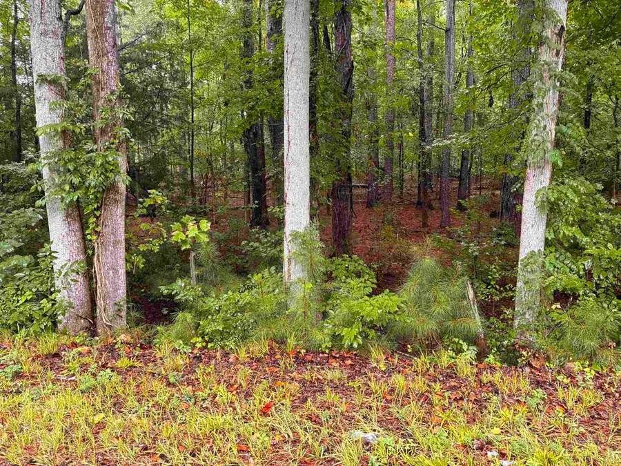 Lot 9 Corinth Road, Gaffney, SC 29340 - #3