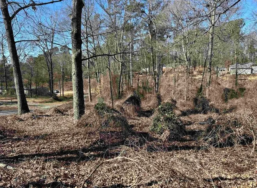 00 Wynette Way, Inman, SC 29349 - #2