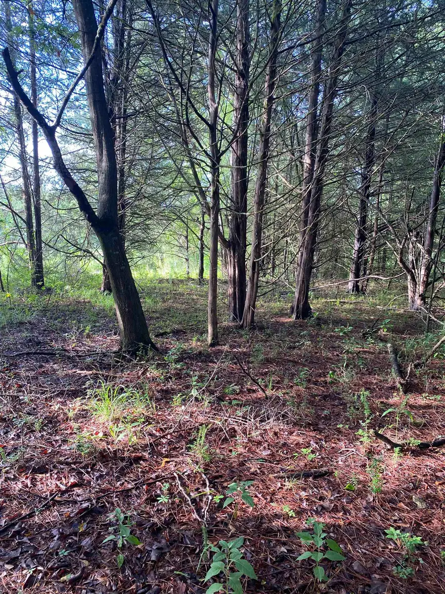 0 Mount Shoals Road, Enoree, SC 29335 - #2