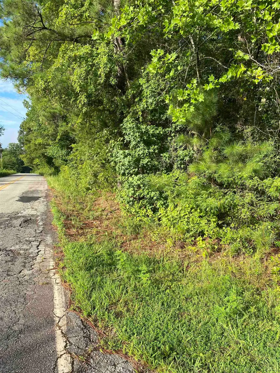0 Mount Shoals Road, Enoree, SC 29335 - #3
