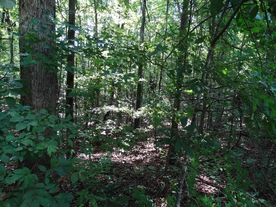 76 Tanyard Road, Greenville, SC 29609 - #3