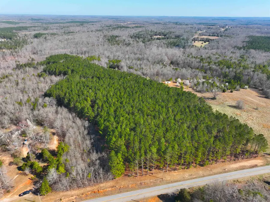 1 Bolt Road, Gray Court, SC 29645 - #2
