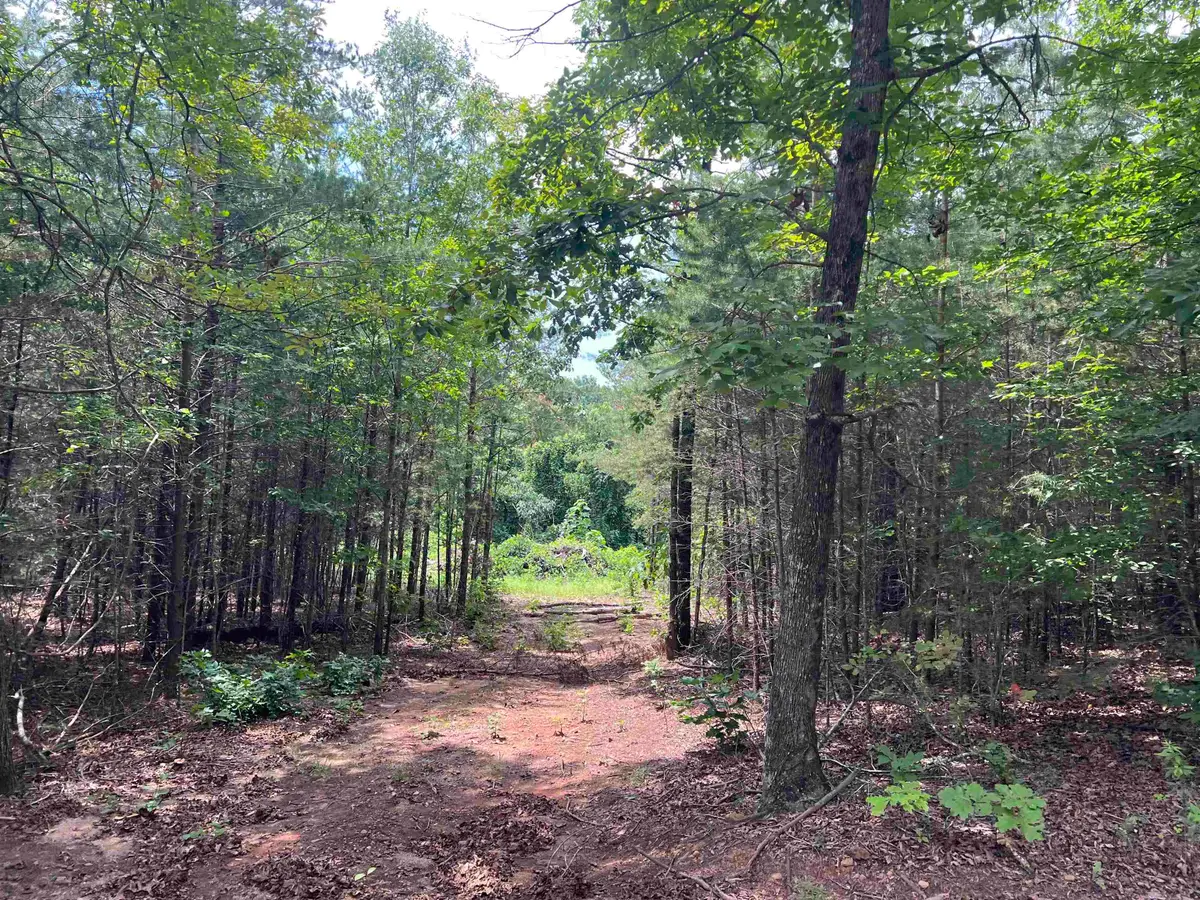 500 Goforth Road, Landrum, SC 29356 - #1