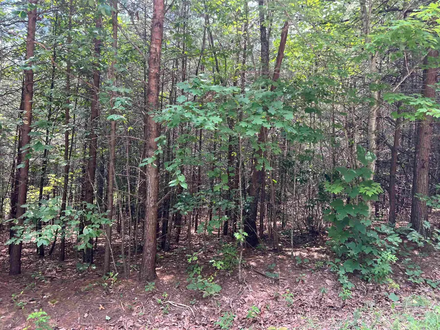 500 Goforth Road, Landrum, SC 29356 - #2