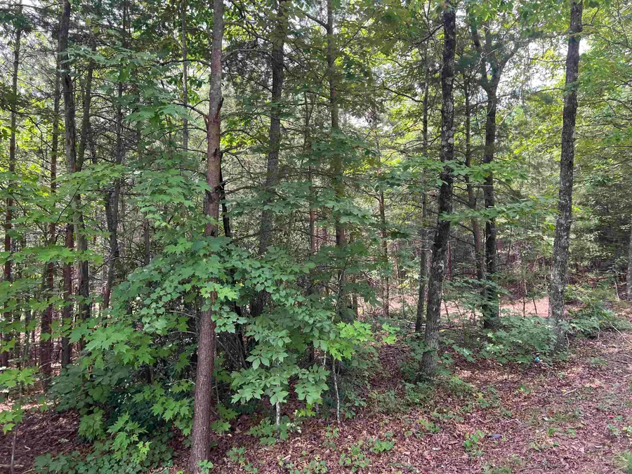 500 Goforth Road, Landrum, SC 29356 - #3