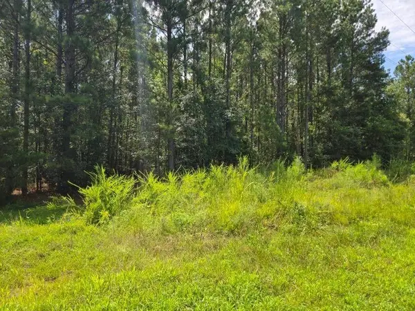 00 Shrine Club Road, Waterloo, SC 29384