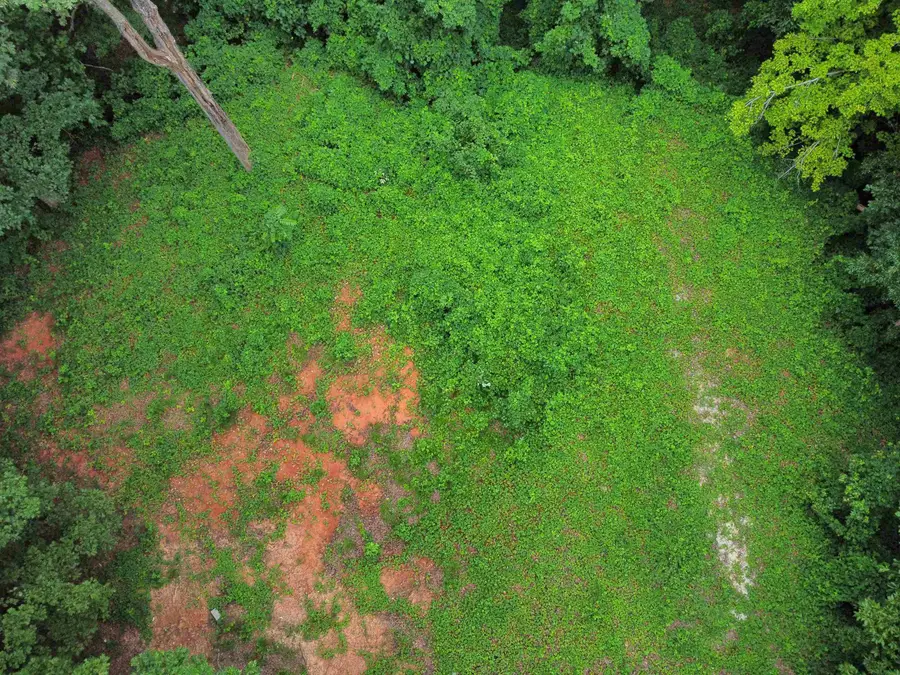 200 Goforth Road, Landrum, SC 29356 - #3