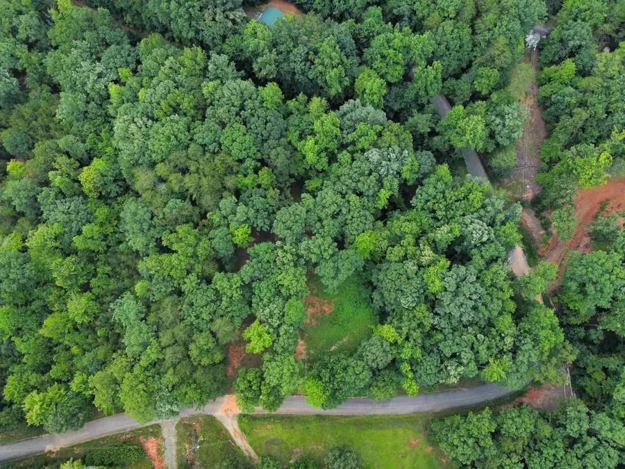 300 Goforth Road, Landrum, SC 29356 - #2