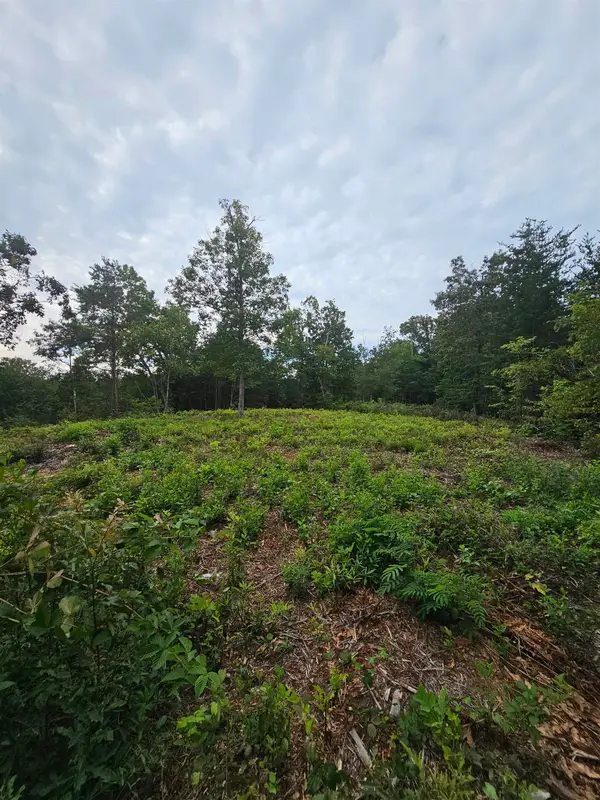 1146 Belue Mill Road, Landrum, SC 29356