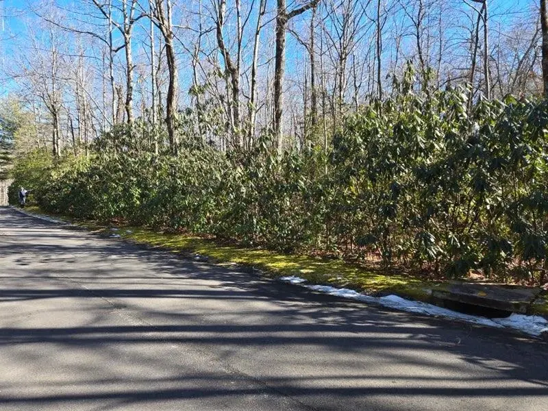 112 Hemlock Trail, Cleveland, SC 29635 - #1